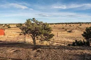 1950 Co Rd 510, Walsenburg, CO 81089 - Photo 54