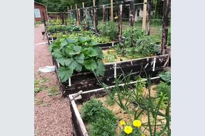 8695 Pine Dr, Beulah, CO 81023 - Photo 64