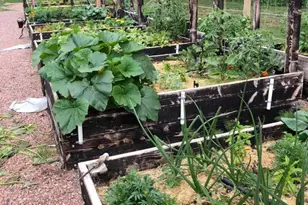 8695 Pine Dr, Beulah, CO 81023 - Photo 64