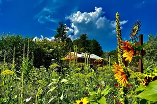 8695 Pine Dr, Beulah, CO 81023 - Photo 68