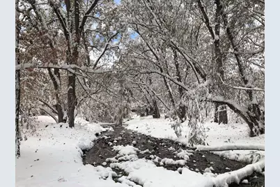 8695 Pine Dr, Beulah, CO 81023 - Photo 74