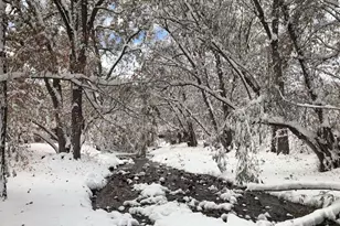 8695 Pine Dr, Beulah, CO 81023 - Photo 74