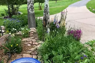 8695 Pine Dr, Beulah, CO 81023 - Photo 60