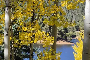 2087 Main St, Rye, CO 81069 - Photo 26