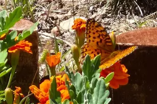 2087 Main St, Rye, CO 81069 - Photo 34