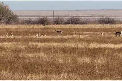 4475 17th Lane, Pueblo, CO 81063 - Photo 4