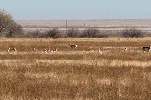 4475 17th Ln, Pueblo, CO 81063 - Photo 4