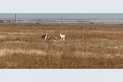 4475 17th Lane, Pueblo, CO 81063 - Photo 6