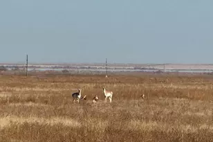 4475 17th Ln, Pueblo, CO 81063 - Photo 6