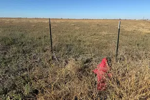 4475 17th Ln, Pueblo, CO 81063 - Photo 10