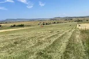 8417 3 R Rd, Beulah, CO 81023 - Photo 2