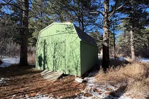 8295 Green Ln, Rye, CO 81069 - Photo 10