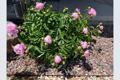 1507 N Gentry Lane, Pueblo West, CO 81007 - Photo 22