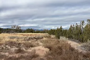 490 A St, Penrose, CO 81240 - Photo 42