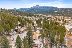 340 Ponderosa Ct, Woodland Park, CO 80863 - Photo 46