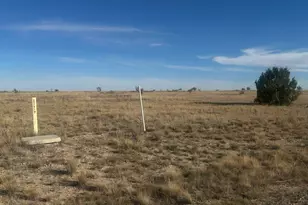 Lot 11 Cedarwood Station, Rye, CO 81004 - Photo 1