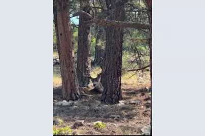 6813 Highway 160, La Veta, CO 81055 - Photo 54