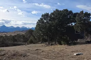 2825 K Path, Cotopaxi, CO 81223 - Photo 36