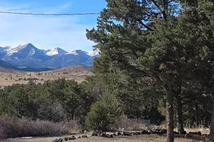 2825 K Path, Cotopaxi, CO 81223 - Photo 6