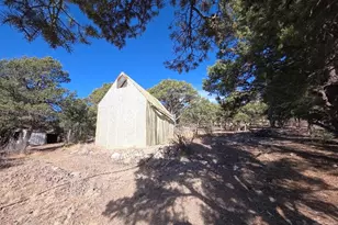 2825 K Path, Cotopaxi, CO 81223 - Photo 18