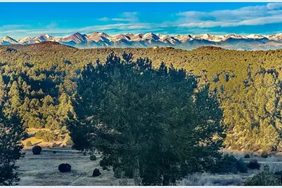 8010 County Road 53.1, Trinidad, CO 81082 - Photo 6