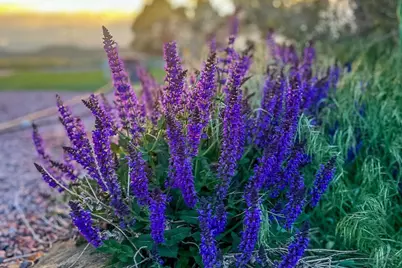 8010 County Road 53.1, Trinidad, CO 81082 - Photo 40