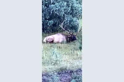 8010 County Road 53.1, Trinidad, CO 81082 - Photo 38