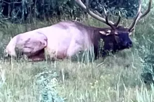 8010 County Road 53 1, Trinidad, CO 81082 - Photo 38