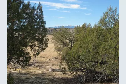 Lot 100 Narrow Gauge Way, Rye, CO 81069 - Photo 26
