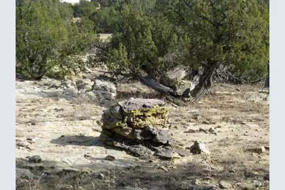 Lot 100 Narrow Gauge Way, Rye, CO 81069 - Photo 30