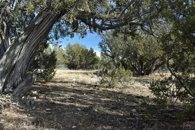 Lot 100 Narrow Gauge Way, Rye, CO 81069 - Photo 10