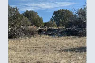 Lot 100 Narrow Gauge Way, Rye, CO 81069 - Photo 20