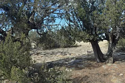 Lot 100 Narrow Gauge Way, Rye, CO 81069 - Photo 6