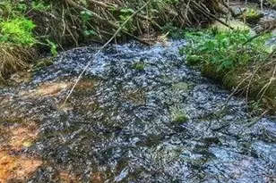 71 Shires Cir, La Veta, CO 81055 - Photo 26