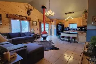 71 Shires Cir, La Veta, CO 81055 - Photo 4