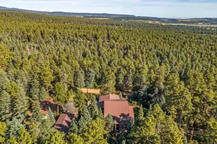 8262 William Rd, Rye, CO 81069 - Photo 86