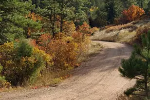 5855 Vine Mesa Ave, Beulah, CO 81023 - Photo 2