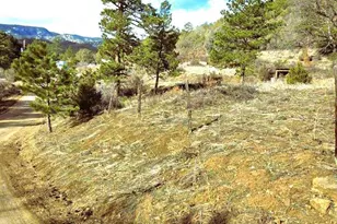 5855 Vine Mesa Ave, Beulah, CO 81023 - Photo 26