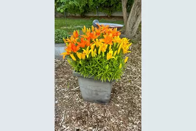 241 Goodnight Ave, Pueblo, CO 81004 - Photo 30