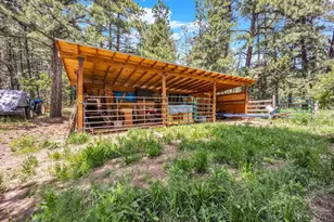 8564 Ridge Rd, Beulah, CO 81023 - Photo 50