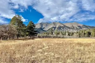 10401 Windy Ridge Rd, Aguilar, CO 81020 - Photo 20