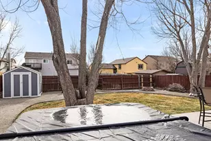 842 Barn Owl Dr, Fountain, CO 80817 - Photo 28