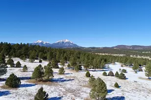 22000 Spirit Mountain Dr, Aguilar, CO 81020 - Photo 52