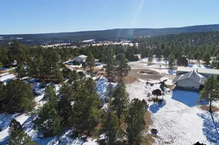 22000 Spirit Mountain Dr, Aguilar, CO 81020 - Photo 44