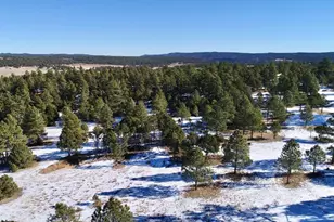 22000 Spirit Mountain Dr, Aguilar, CO 81020 - Photo 48