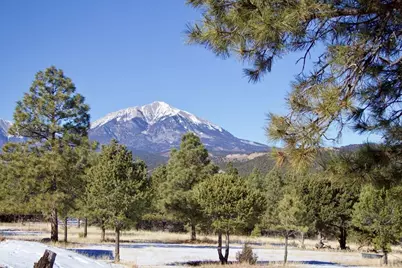 22000 Spirit Mountain Dr, Aguilar, CO 81020 - Photo 42