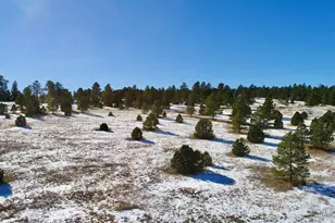 22000 Spirit Mountain Dr, Aguilar, CO 81020 - Photo 56