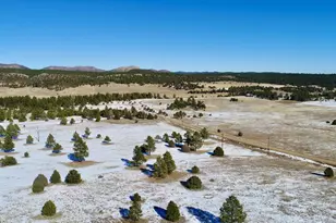 22000 Spirit Mountain Dr, Aguilar, CO 81020 - Photo 60