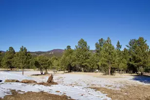 22000 Spirit Mountain Dr, Aguilar, CO 81020 - Photo 40