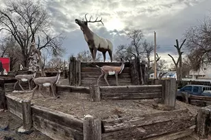 2011 - 2019 N Albany Ave, Pueblo, CO 81003 - Photo 16